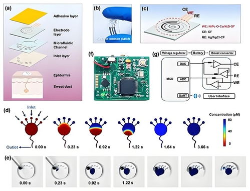 中科數(shù)惠以網(wǎng)絡(luò)科技賦能，成功助力中西醫(yī)結(jié)合糖尿病防治系統(tǒng)創(chuàng)新